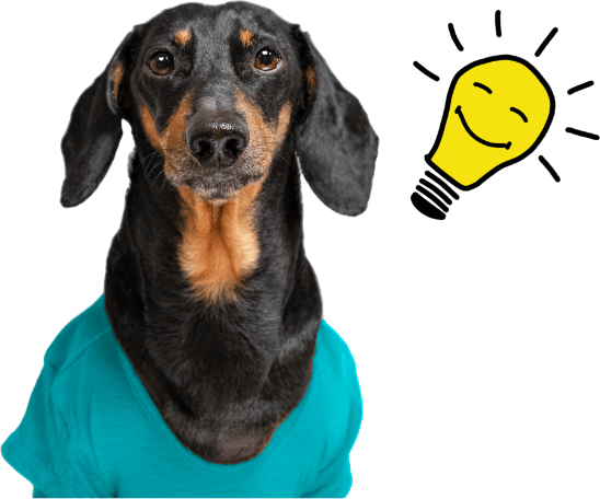 Image of a dog with a lightbulb 