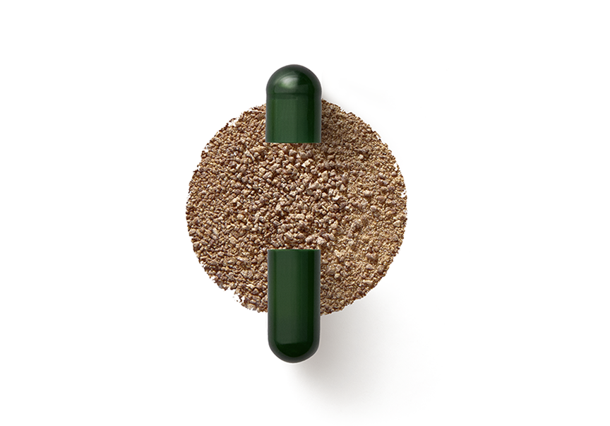 Probiotic inner capsule with white powder