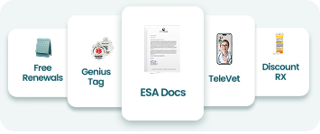 Receive your official ESA documents