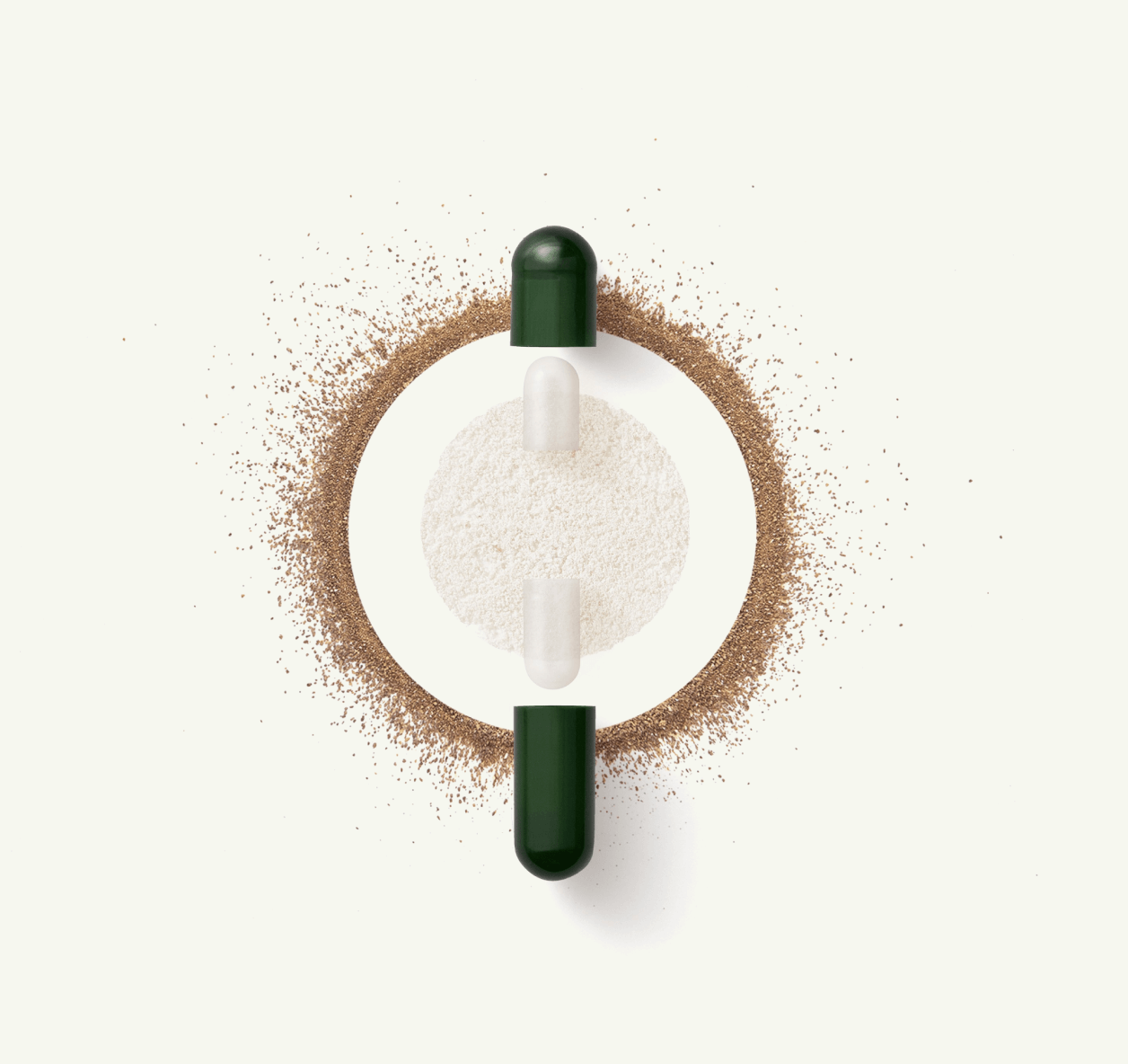 DS-01 capsule with probiotic strains