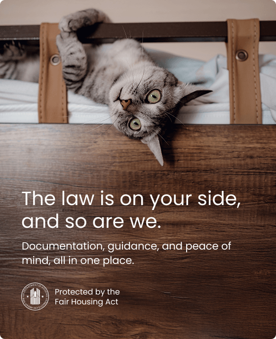 Legal Protection