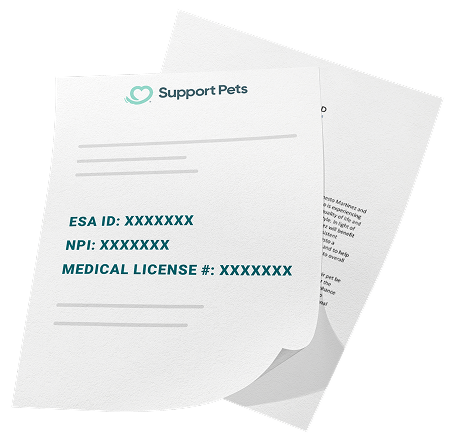 Decorative graphic element used for page design